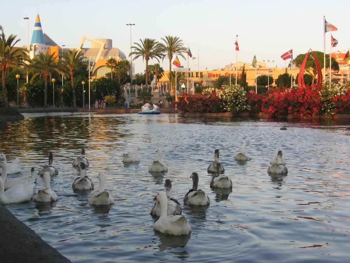 Daniela Apartament Torrevieja Dış mekan fotoğraf